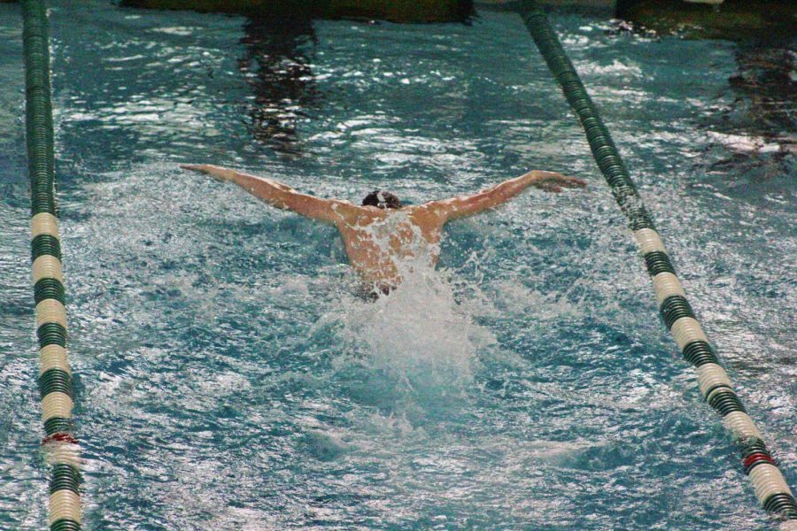 Junior Trent Donaldson, competes in the butterfly stroke event.